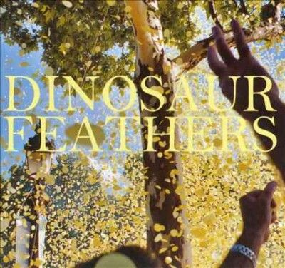 Dinosaur Feathers - Whistle Tips (CD)