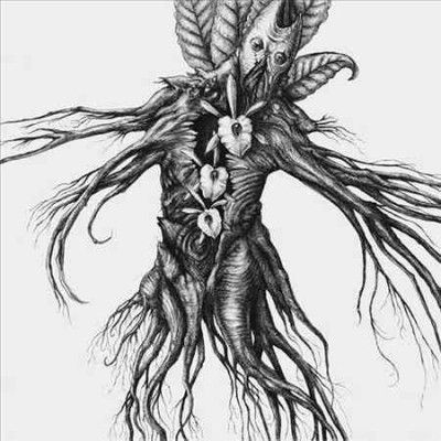 Botanist - Iv: Mandragora (CD)