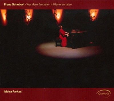 Franz Schubert: Wandererfantasie/4 Klaviersonaten (CD / Album)