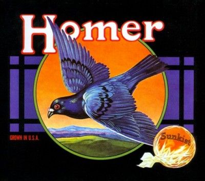 Homer - Complete Recordings (CD)