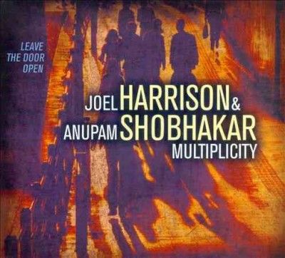 Joel Harrison - Multiplicity Leave The Door Open (CD)