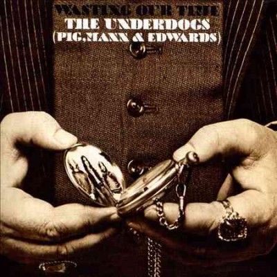 Underdogs - Wasting Our Time (CD)