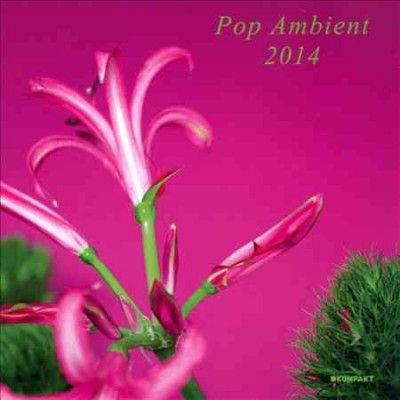 Various - Pop Ambient 2014 (CD)