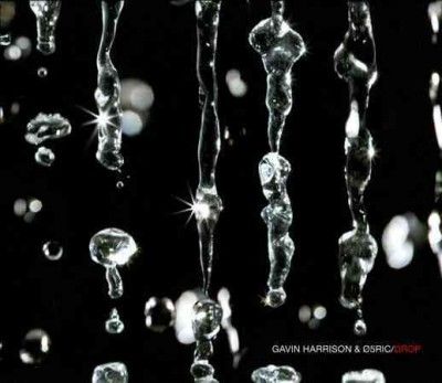 Gavin Harrison - Drop (CD)
