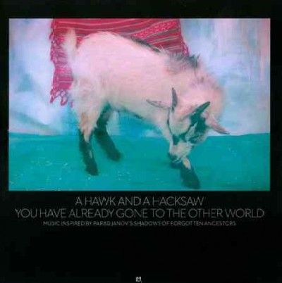 Hawk And A Hacksaw - You Have Already Gone To The Other Wo (CD)