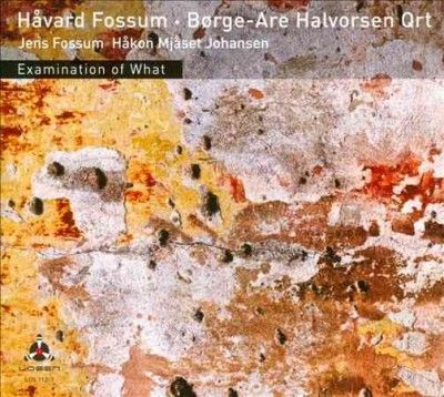 Examination of What (CD / Album)