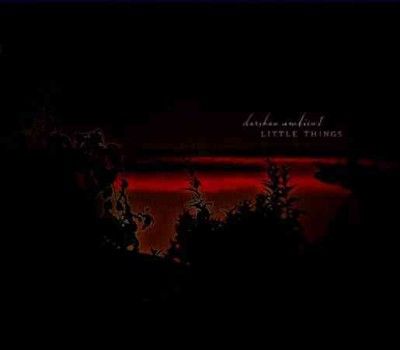 Darshan Ambient - Little Things (CD)