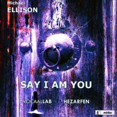 Arnout Lems - Ellison: Say I Am You (mevlana) (CD)