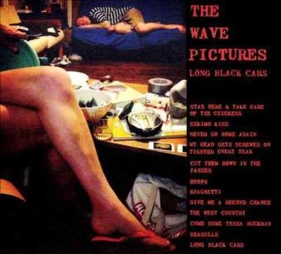 Wave Pictures - Long Black Cars (CD)