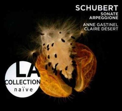 Anne Gastinel - Schubert: Arpeggione Son Sonatina &amp; Li (CD)