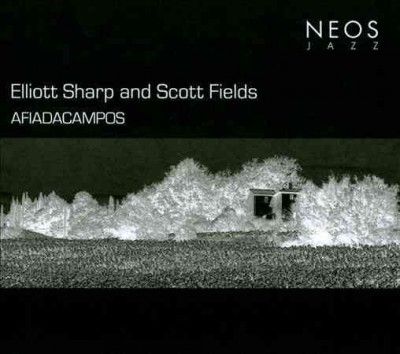 Elliott Sharp and Scott Fields: Afiadacampos (CD / Album)