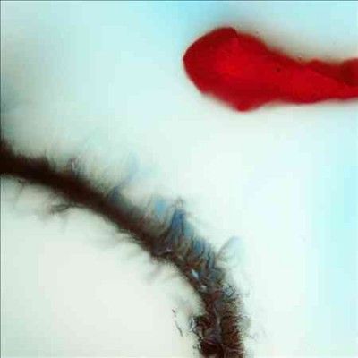 Stubborn Heart - Stubborn Heart (CD)