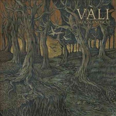 Vali - Skogslandskap (CD)