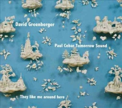 David Greenberger - They Like Me Around Here (CD)