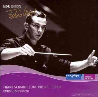 Sinfonie Nr. 1 E-dur (Luisi) (CD / Album)