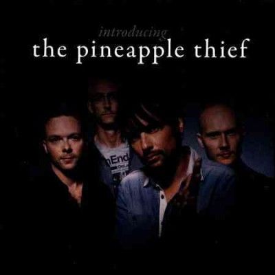 Introducing - (Import CD)
