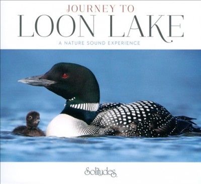 Journey to Loon Lake - (Import CD)