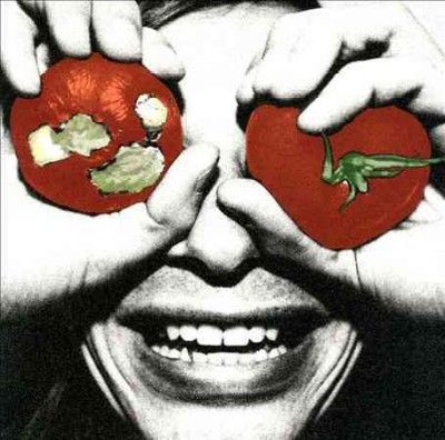 Terry Malts - Nobody Realizes This Is Nowhere (CD)