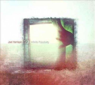 Joel Harrison - Infinite Possibility (CD)