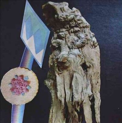 Motion Sickness Of T - Motion Sickness Of Time Travel (CD)