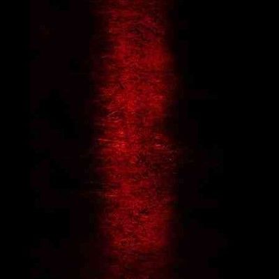 Paul Jebanasam - Rites (CD)
