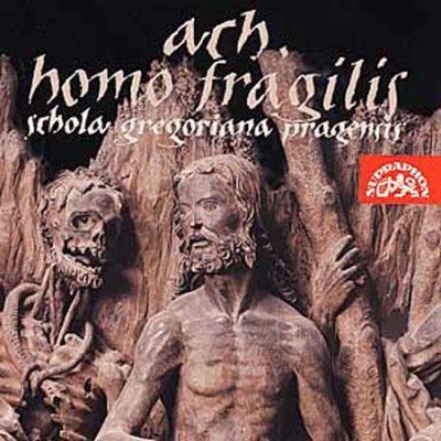 Schola Gregoriana - Ah Homo Fragilis (CD)