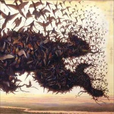 Kiev - Falling Bough Wisdom Teeth (CD)