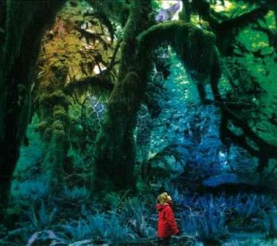 Cabinet of Curiosities - (Import CD)