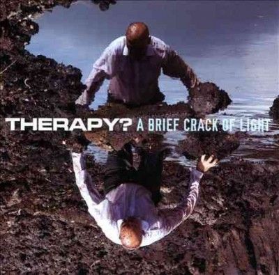 A Brief Crack of Light (CD / Album)