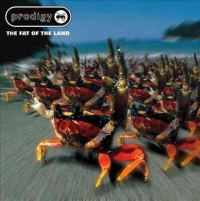 The Fat of the Land (CD / Album)