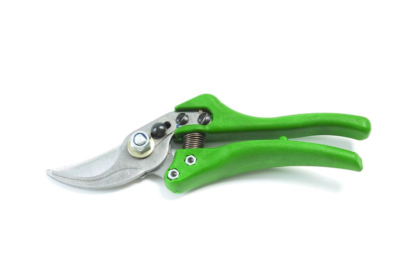 Lasher - Professional Secateurs Pruners