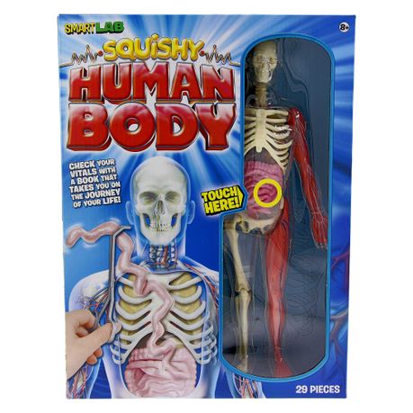 smart works squishy human body