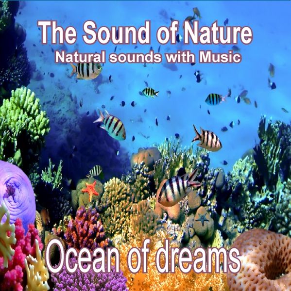 Sounds Of Nature - Ocean Of Dreams - Various Artists (CD)