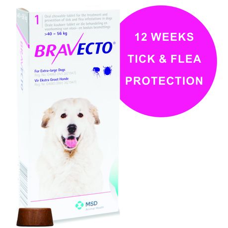 chewy bravecto for dogs