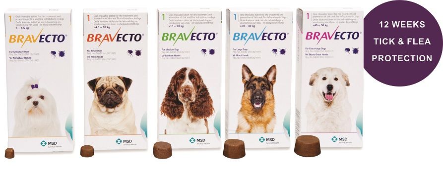 bravecto extra large dog
