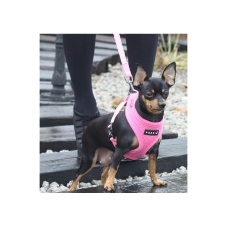 puppia soft harness