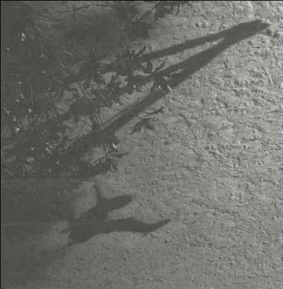 Max Richter - The Blue Notebooks (CD)