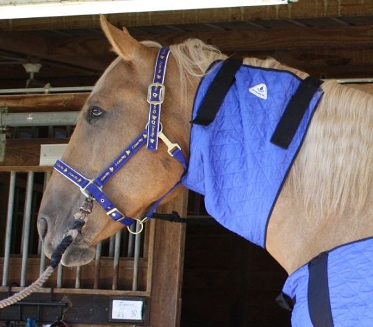 Techniche Hyperkewl Evaporative Cooling Horse Neck Cooler - Silver