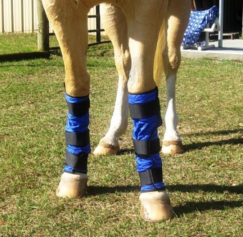 Techniche Hyperkewl Evaporative Cooling Horse Leg Wraps