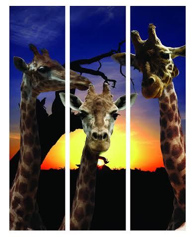 My Giraffe Sunset Wall Art Canvas