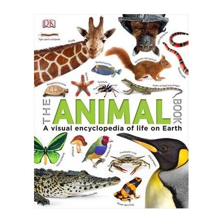 The Animal Book | Buy Online in South Africa 
