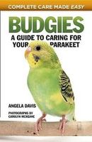 Budgies | Buy Online in South Africa | takealot.com