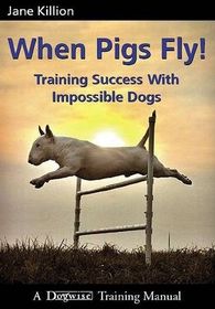 When Pigs Fly Dog Training: Transform Your Pup with Proven Tips