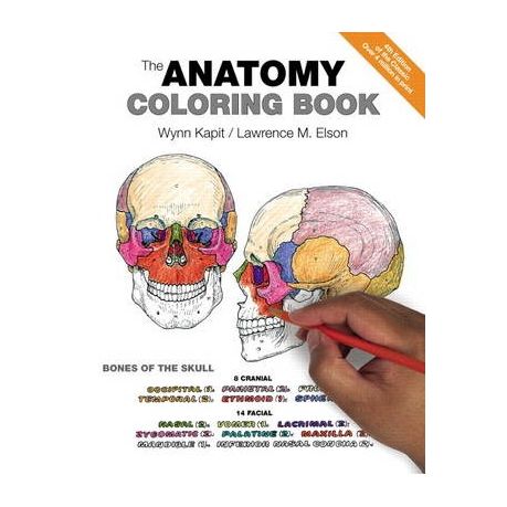 😊 Anatomy book online. Top 10 Human Anatomy Books For Artists. 2019-03-04