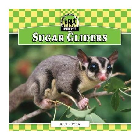 sugar glider price range