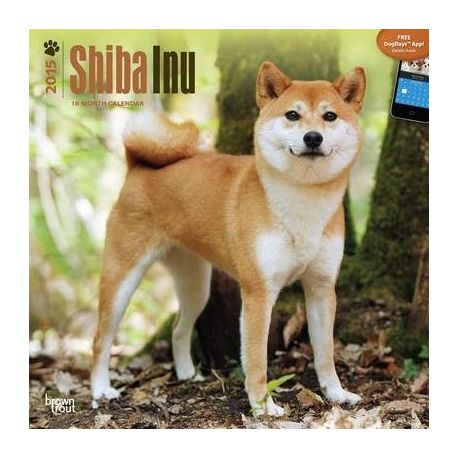 Shiba Inu 2015 Wall