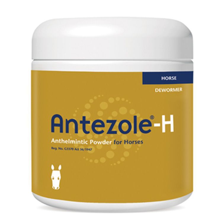 antezole-h-granules-250g-buy-online-in-south-africa-takealot