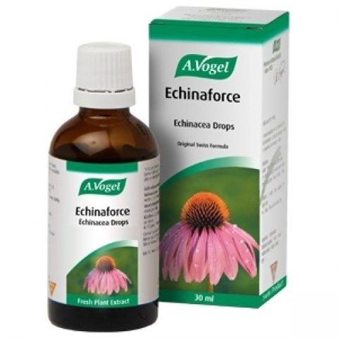 Echinaforce Liquid - 30ml