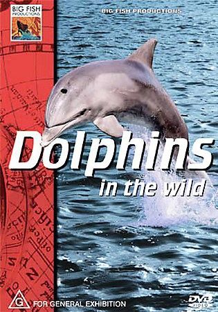 Dolphins in The Wild - (Region 1 Import DVD)