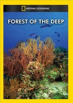Forest of The Deep - (Region 1 Import DVD)